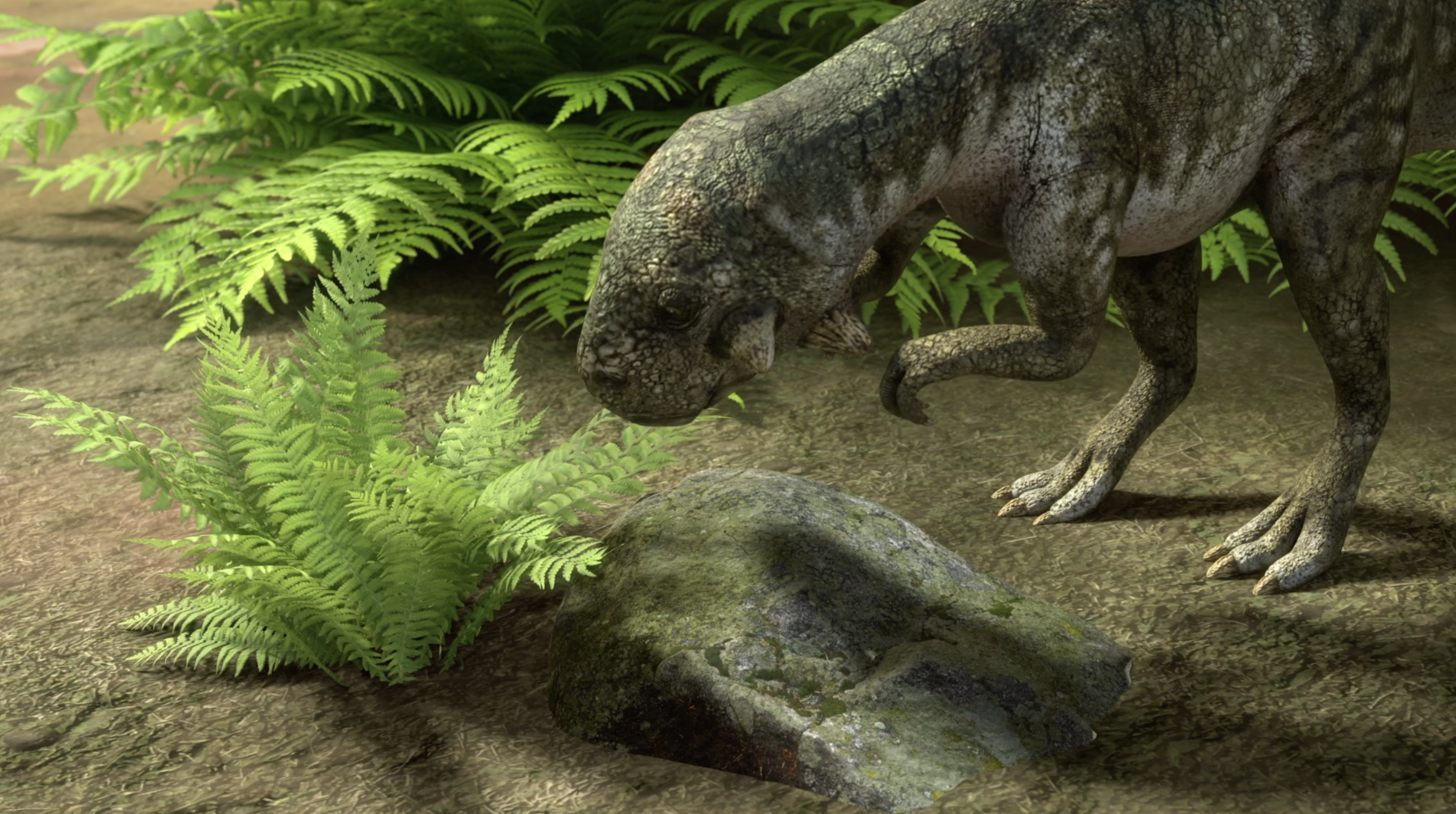 What Did Dinosaurs Eat? 2 An illustration of a Psittacosaurus looking down at a rock, surrounded by ferns in a lush environment. The dinosaur was an herbivore.