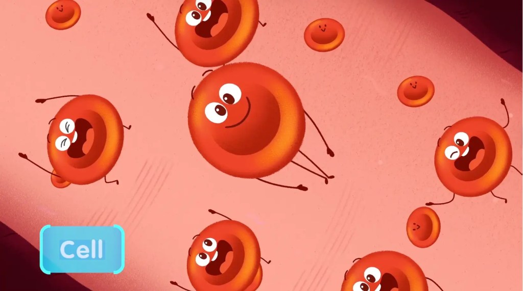 How Does the Human Body Work? 4 Cartoon illustration of smiling red blood cells floating in a pink background, labeled 'Cell'.