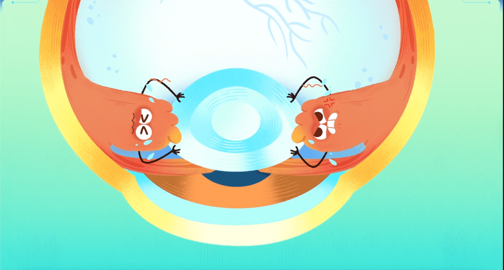 How Do Eyes Work? 2 Animated illustration of the eye focusing system, depicting a lens with two cartoonish characters adjusting its shape.