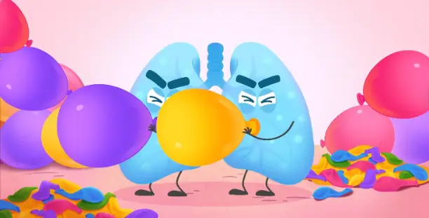 How Does the Human Body Work? 2 lungs