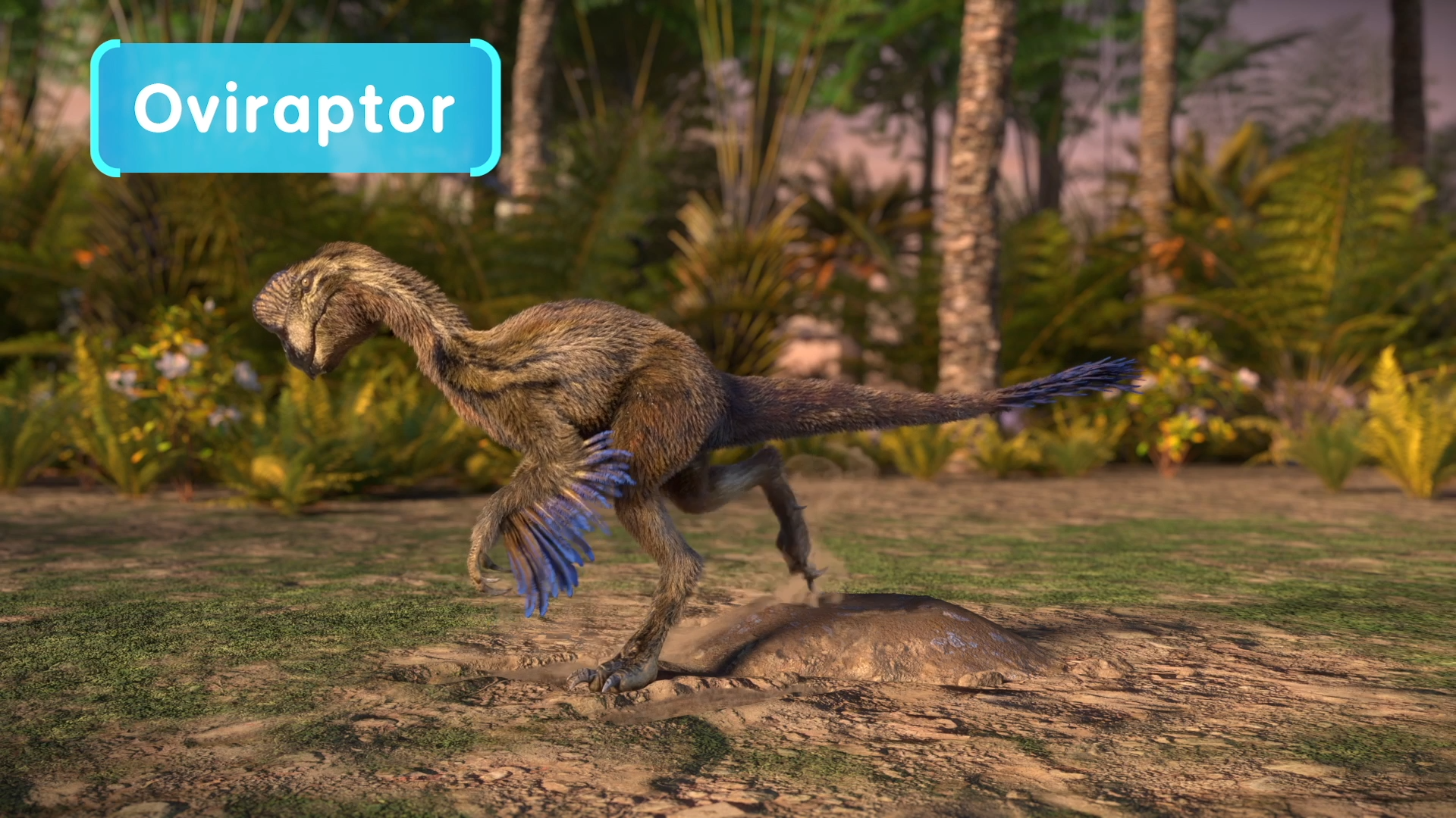 A depiction of the small dinosaur Oviraptor, which built its nest by gathering soil into a pile, running in a forest.