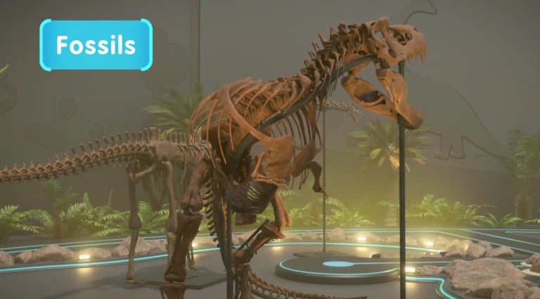 What Are Dinosaur Fossils?