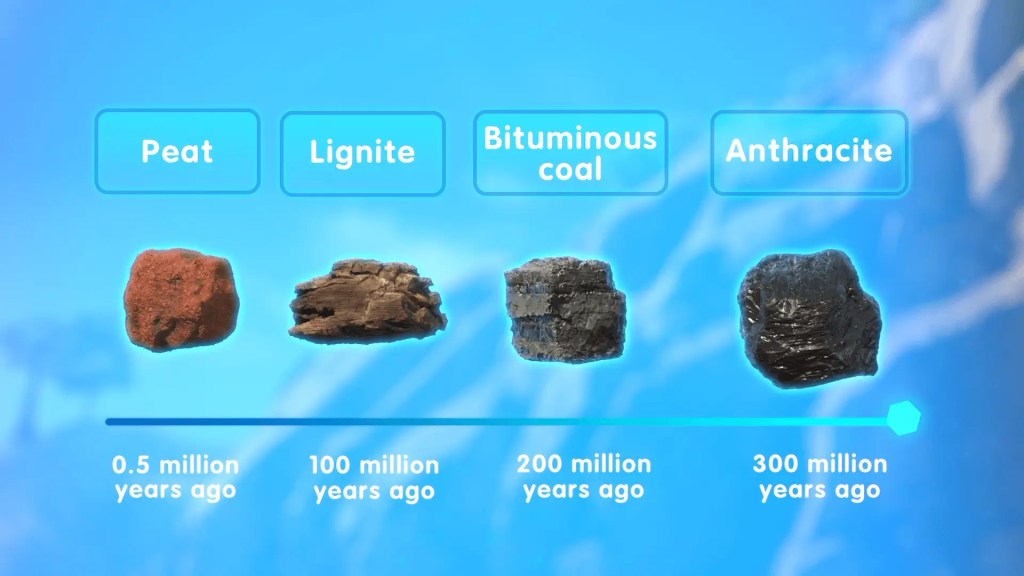  An illustration showing the coal formation process: Peat, Lignite, Bituminous coal, and Anthracite, spanning 300 million years.
