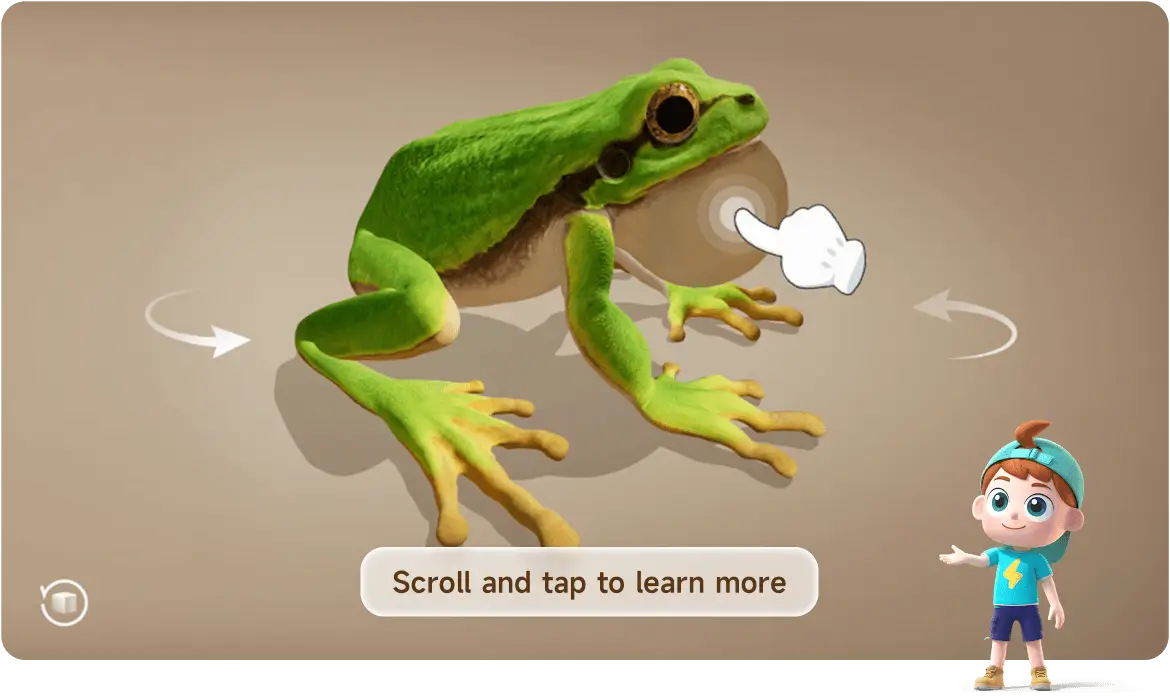 A cartoon illustration of a red panda with callouts highlighting its ears, face, and legs.