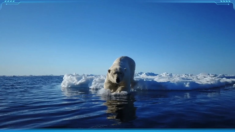 What Is the Polar Climate?