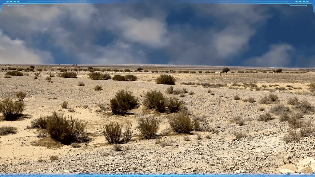 A dry, arid landscape with low-lying brush under a cloudy sky, characteristic of the low precipitation of a Temperate Continental Climate.