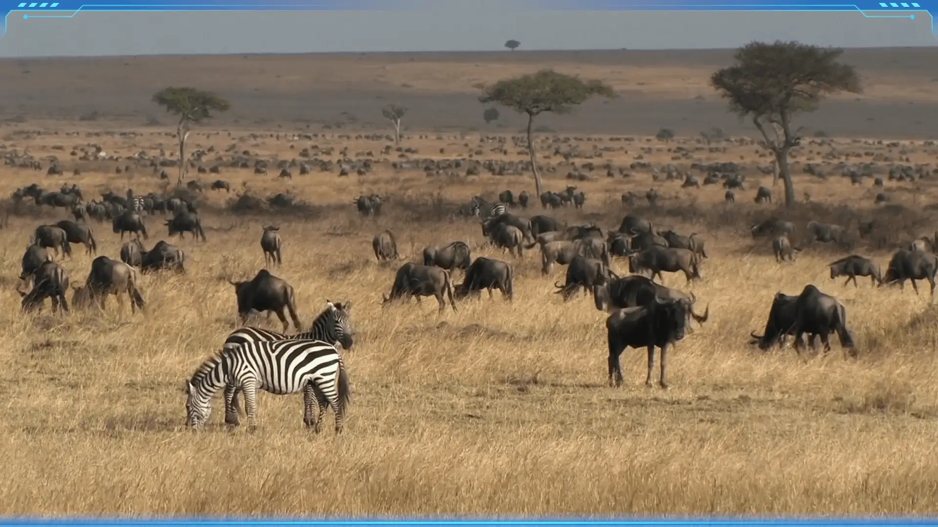 What Is the Tropical Savanna Climate? - Science for Kids