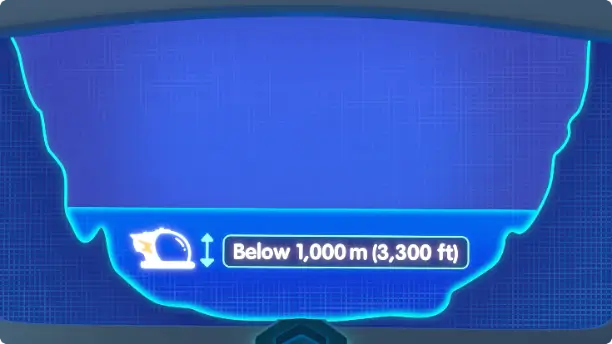 Diagram of the Midnight Zone at a depth below 1,000 m (3,300 ft).