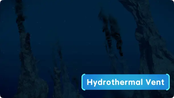 What Are Hydrothermal Vents?