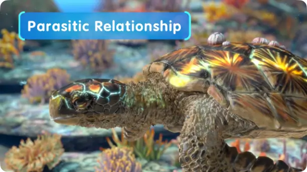 Symbiotic and Parasitic Relationships