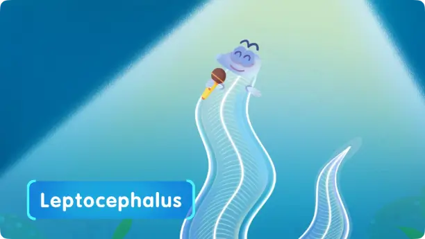 Unique Sea Animals