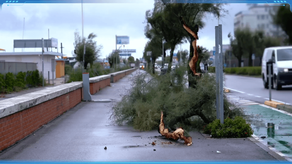 An outdoor scene showing a tree snapped in half and debris on the sidewalk, illustrating destructive weather.