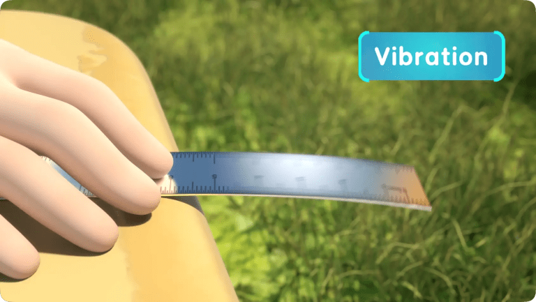 What Are the Facts of Sound Vibrations?