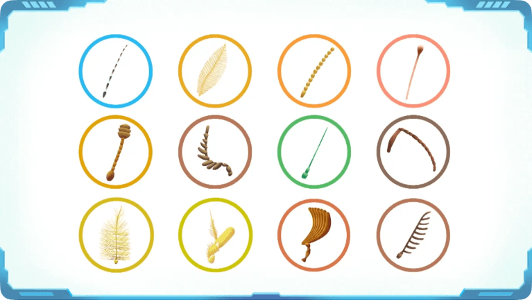 What Are the Antennae of an Insect?