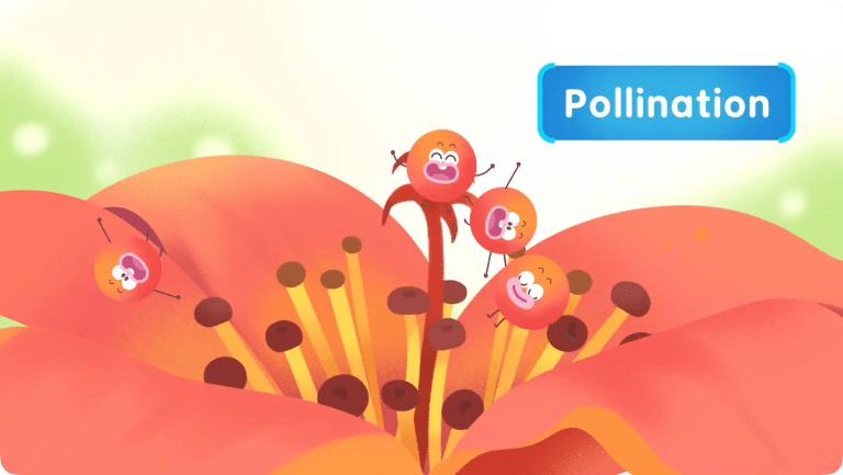 What Sort of Flowers Are There?