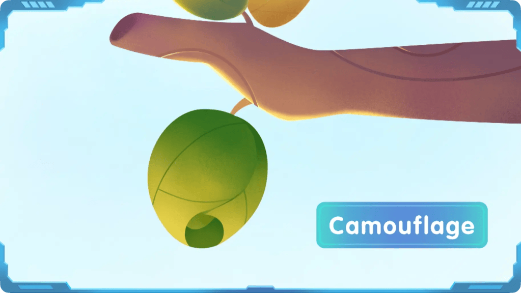 A green insect blending into a leaf on a tree branch, labeled Camouflage for an educational guide